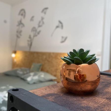 La Maison D'Angelique - Colocation Hoteliere A 150M Gare Tgv- Grande Cuisine Equipee & Salon - Fibre - Netflix นีออร์ ภายนอก รูปภาพ